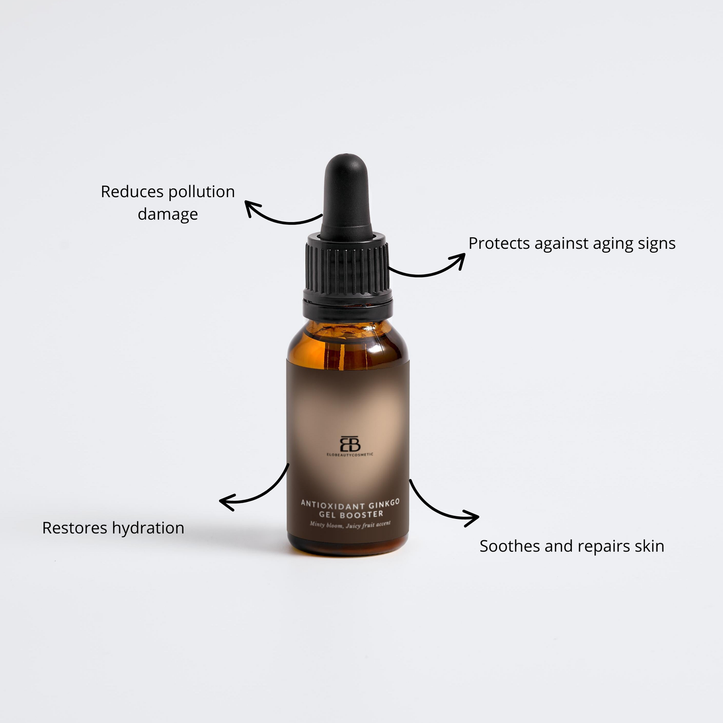 Antioxidant Ginkgo Gel Booster
