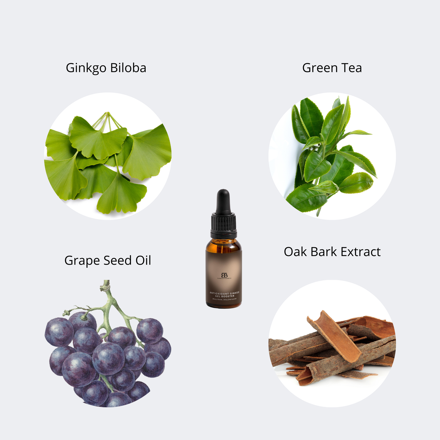 Antioxidant Ginkgo Gel Booster