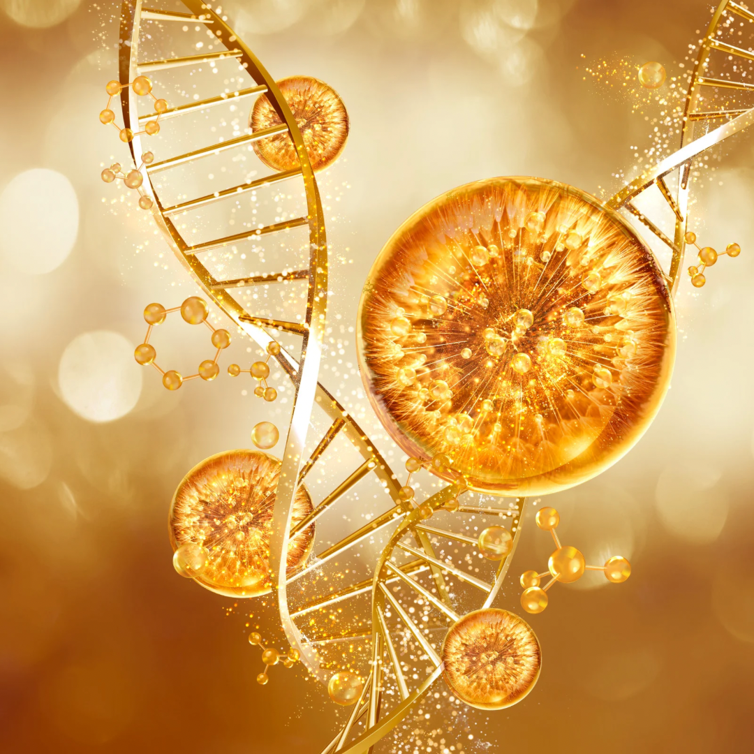Antioxidant Ginkgo Gel Booster