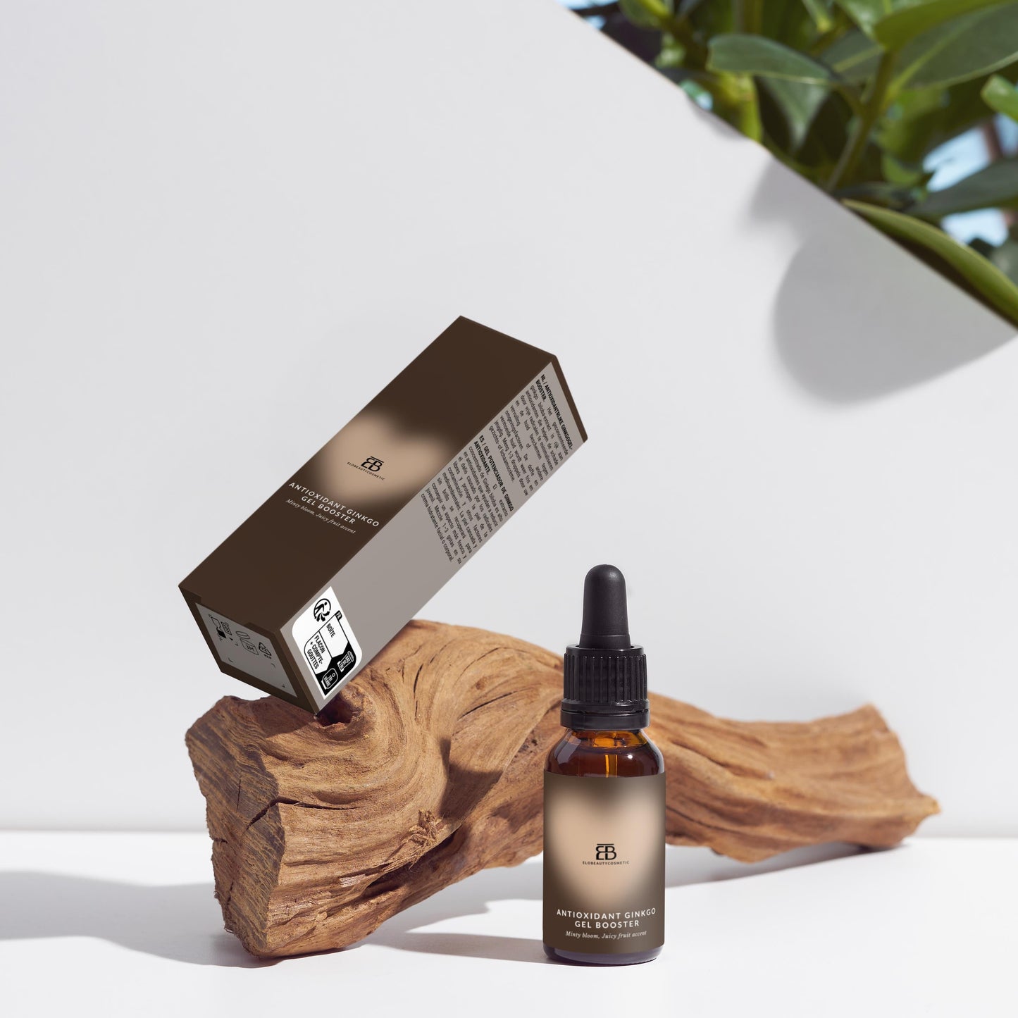 Antioxidant Ginkgo Gel Booster